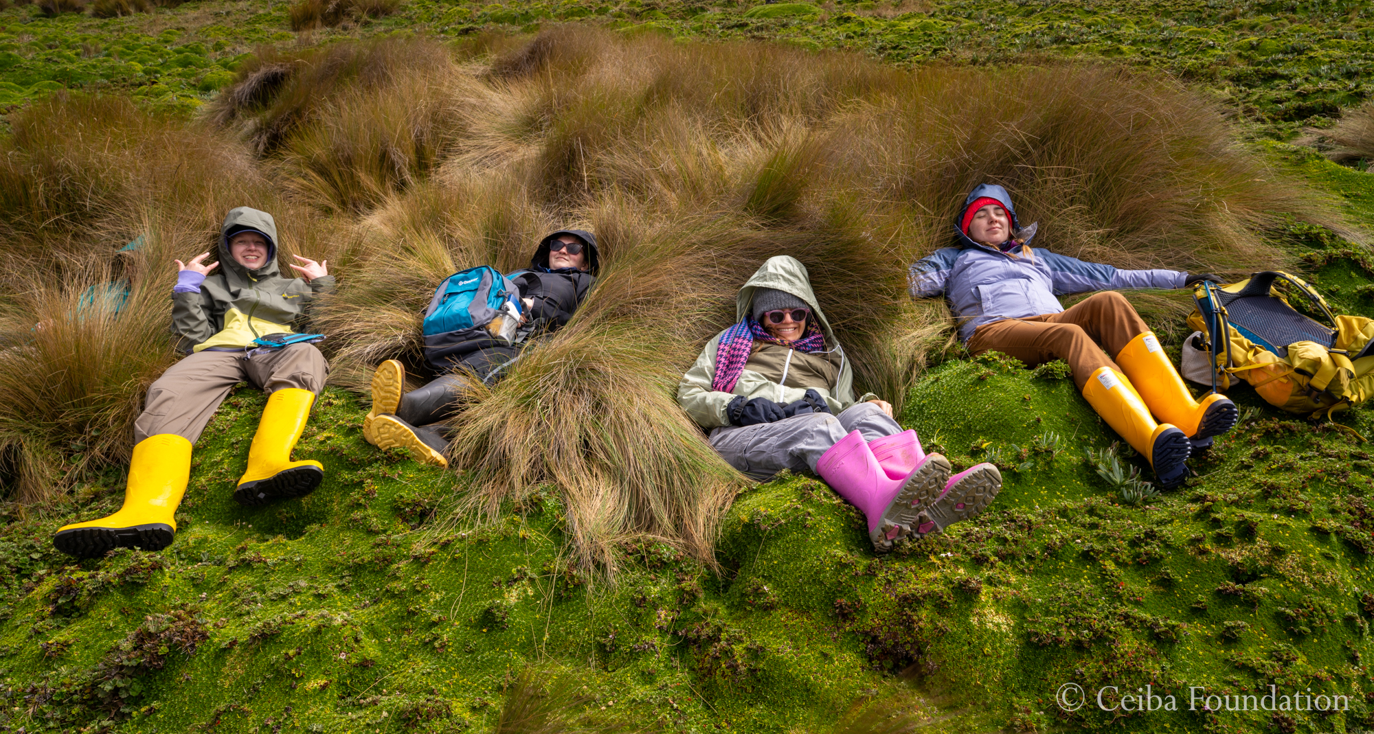 Relaxing on cushion plants